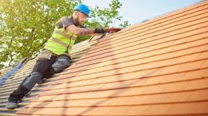 Best Skylight Installation and Repair  in Way, NE