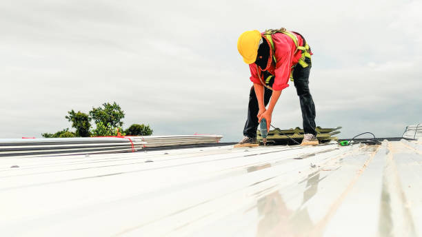 Trusted Wayne, NE Roofing Service Experts
