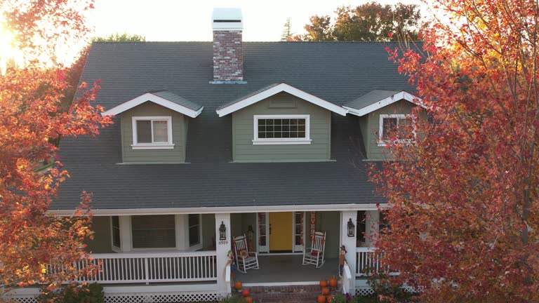 Best Roof Insulation Installation  in Way, NE