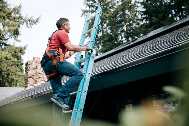 Best Asphalt Shingle Roofing  in Way, NE