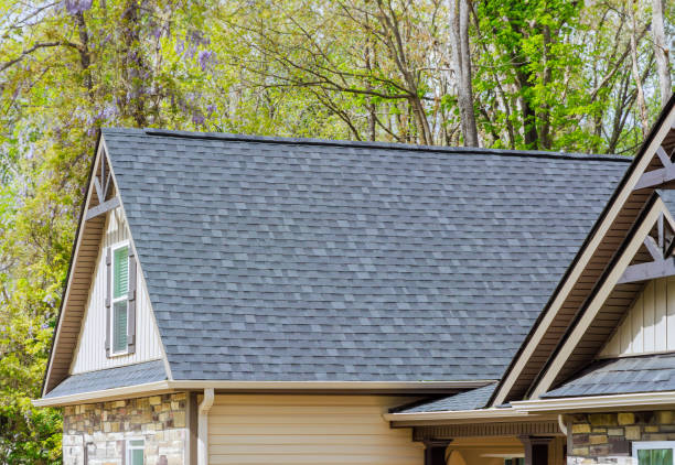 Best Roof Moss and Algae Removal  in Way, NE